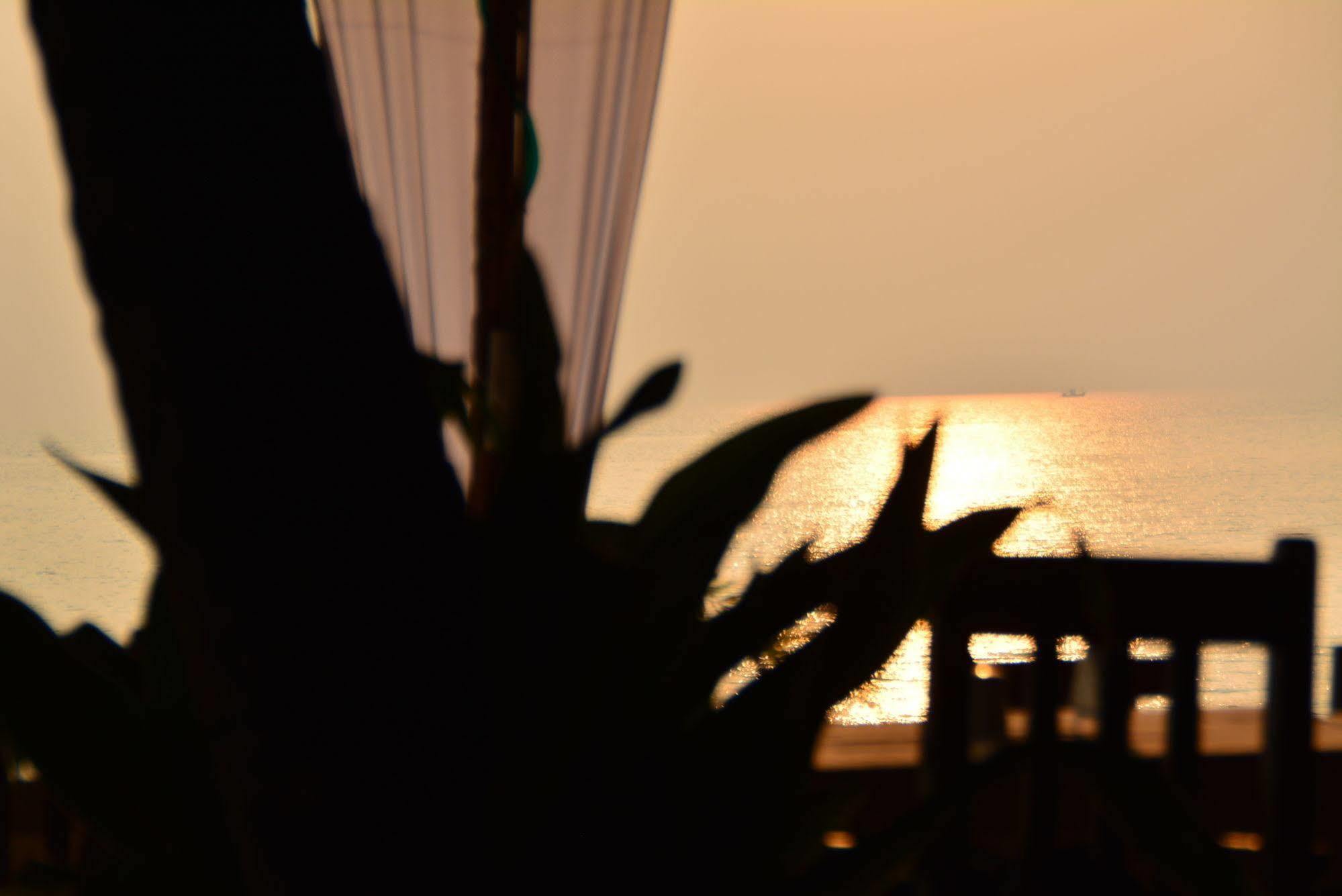 Resort Roundcube 3*